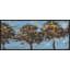 Hazy Days I Painting by Victor Ryan-73001772-73001773