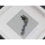 Single Picture Frame Print