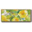 Citron Hibiscus II - toile encadrée-1988858097
