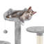 Cat Tree-101437451-105286891