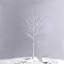 Lighted Trees & Branches-1388953676