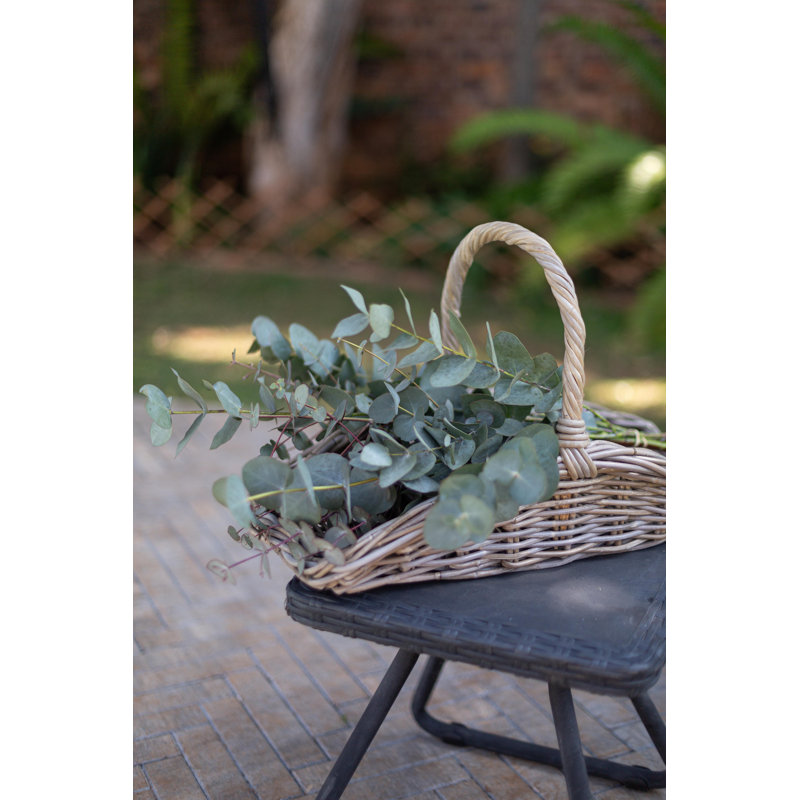 Garden Trug