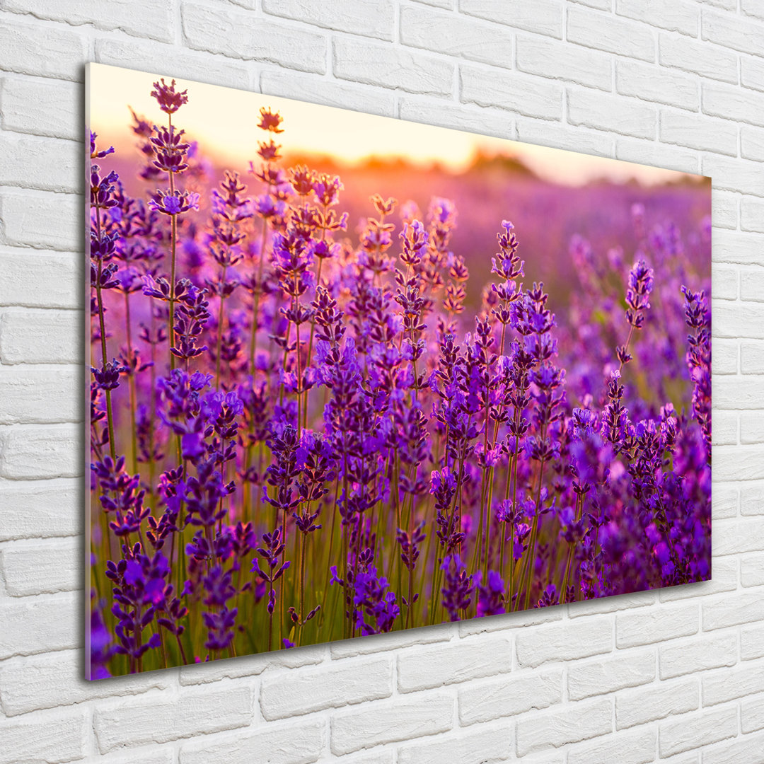 Lavender Field - No Frame Print on Glass