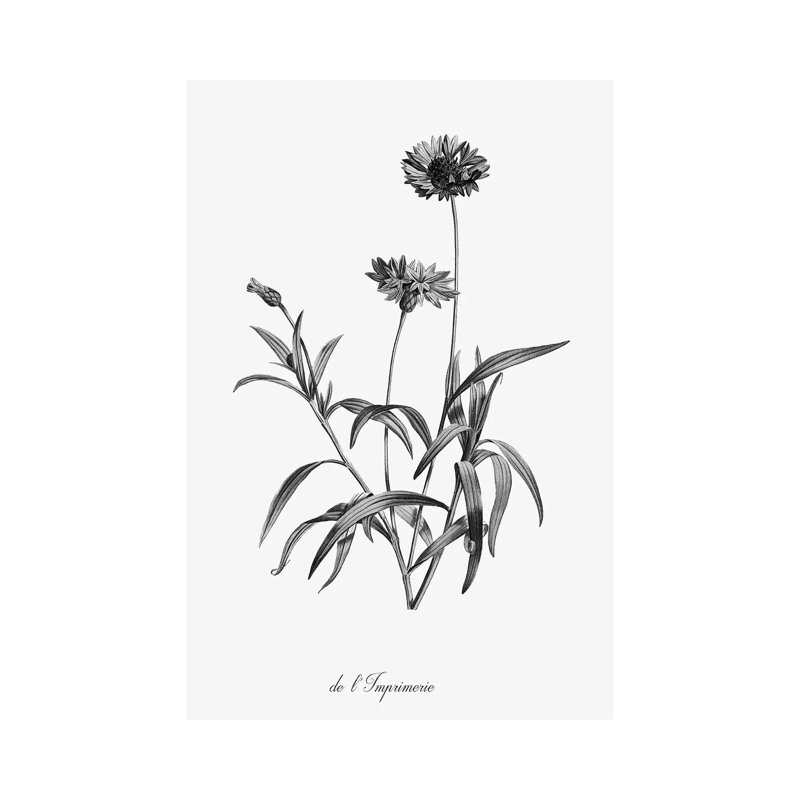 Simply Imperial by Kelly Donovan - Wrapped Canvas Painting, 66.04 cm H x 45.72 cm W