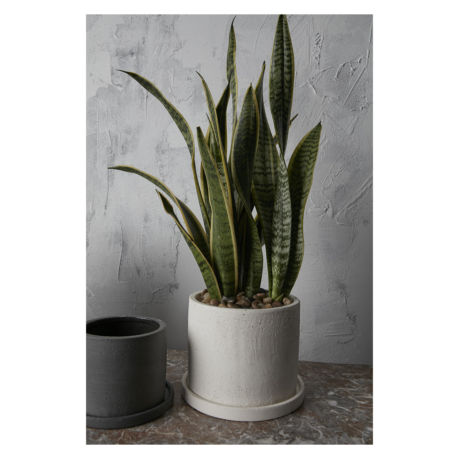 Alisha Handmade Ceramic Pot Planter, 6" H x 7.5" W x 7.5" D
