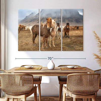 Brampt, chevaux incroyables de l'Islande