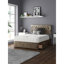 Fan Divan Bed Base-1586753314-1586753340-1490776419
