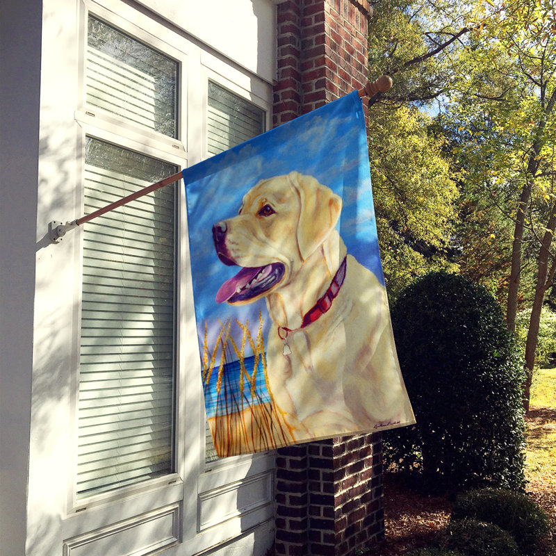 Drapeau de maison 40 po x 28 po Kildare