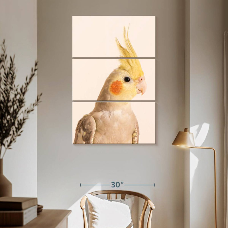 Brampt Smiling Cockatiel
