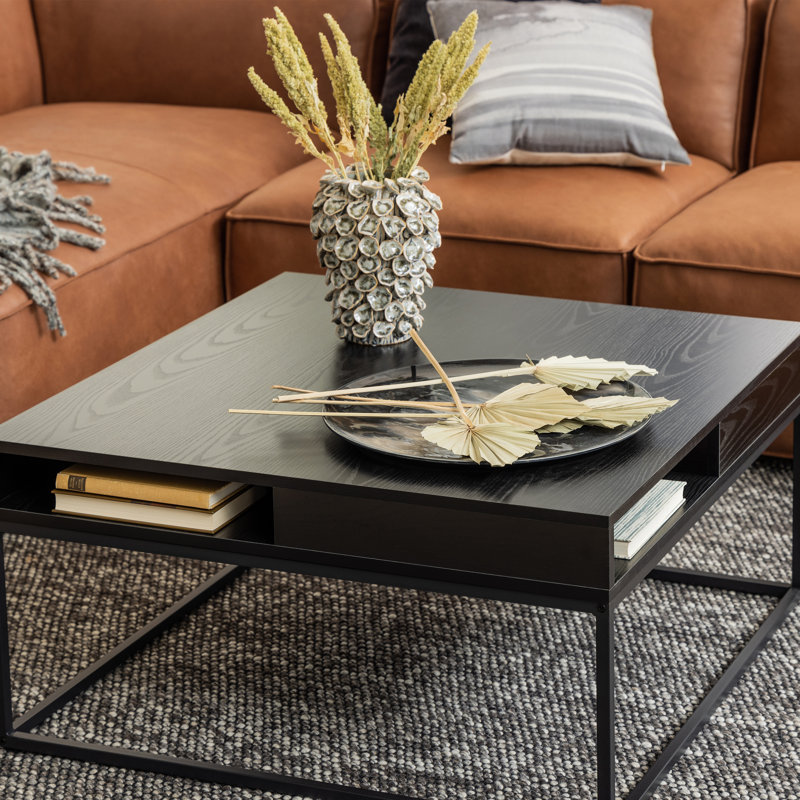 Hesiodos Frame Coffee Table with Storage, Black