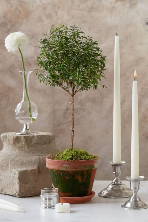 Candle Holders