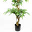180cm Faux Ficus Tree in Metal Pot-113667976