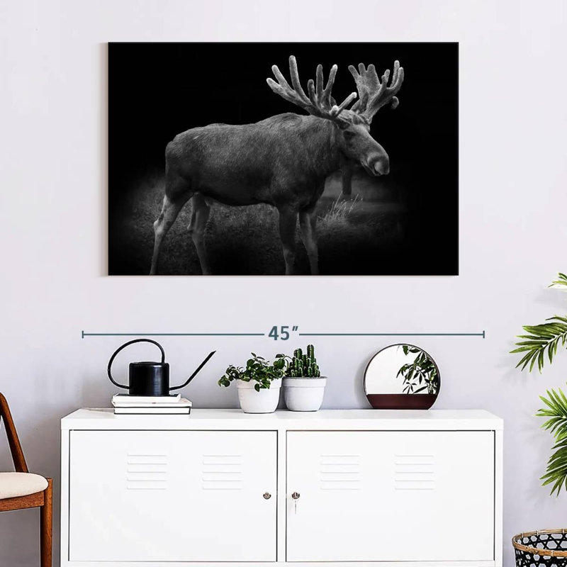 Brampt Monochromatic Bull Moose, 26" H x 39" W