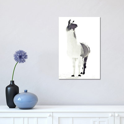 Fluffy Llama Monika Strigel Animals 1 Piece Wrapped Canvas Wall Art