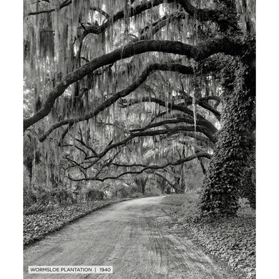 Wormsloe Plantation, Savannah historique - Toile tendue