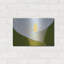 «White Flower II» par Dennis Frates-1321502253