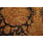 Cotton Indoor Rug