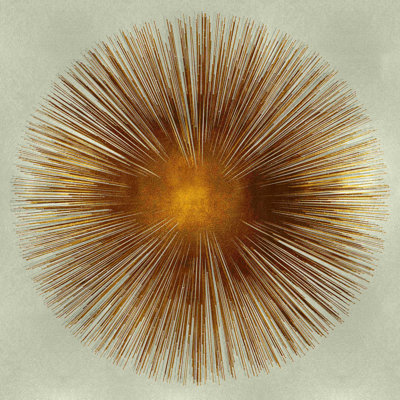 " Bronze Sunburst I " Painting Print