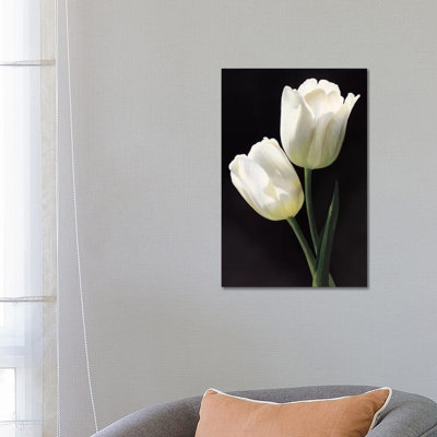 Tulipani bianchi 1 Piece Wrapped Canvas Wall Art