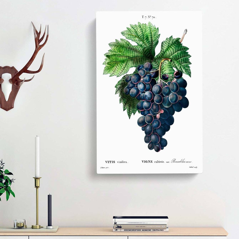 Blue Grapes by Pierre-Joseph Redoute - Wrapped Canvas, 60cm H x 40cm W x 3cm D