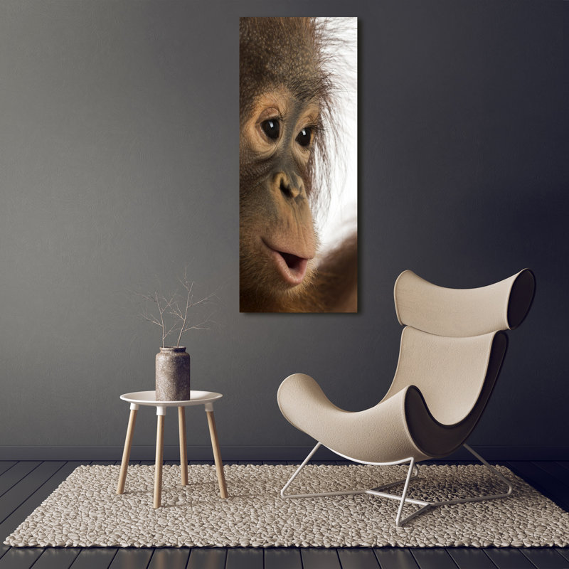 A Young Orangutan - Wrapped Canvas Print