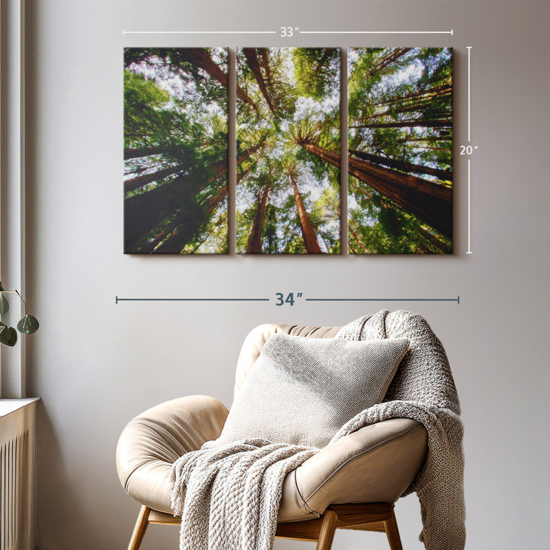 «Muir Wood California Redwoods» sur toile, H 20 po x l 33 po x P 1,25 po