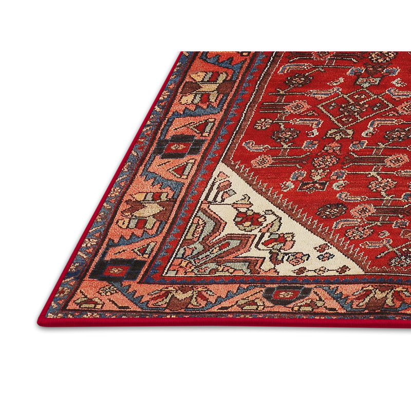 Casandra Southwestern Indoor Rug, Rectangle 5' x 7'