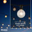 10-Light 14 ft. Globe String Light