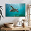 Tortue de mer Brampt Martinique-108690404