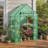 Walk-In Greenhouse, 3 Tier Outdoor Plant Greenhouse with PE Cover and Shelving