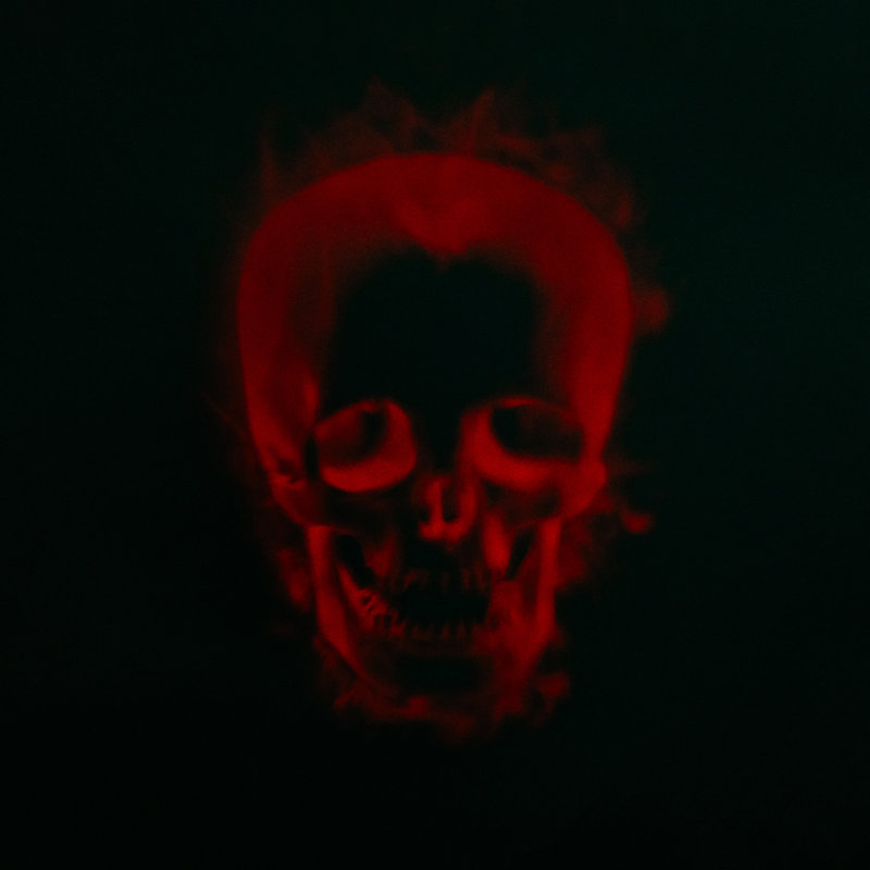 Projecteur d'extérieur à crâne d'Halloween - 8 po