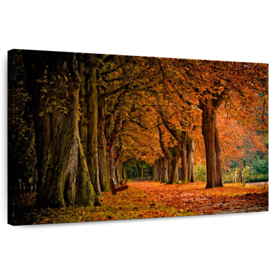 Alvord couleurs de forêt automnale