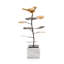 Birdsong Statue