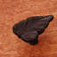 CK Series Knob-12829468