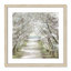Blossom Pathway Blossom Pathway - reproduction de cadre photo-64072183-64072186