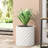 MGO PLANTER