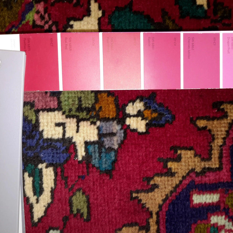 Niroy Oriental Area Rug in Red