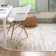 Hillyer Floral Indoor Rug