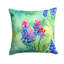 Coussin Texas-114457438