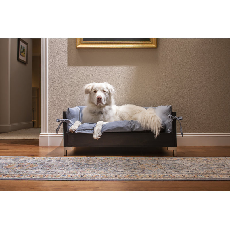 Lit pour chien surélevé avec coussin Achilles Manhattan ECOFLEX®, Espresso, Très grand (l 38,6 po x P 26,5 po x H 14,8 po)