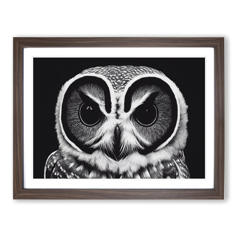 Timeless Owl - Single Picture Frame Print, 46cm H x 64cm W x 2cm D, Walnut Framed