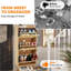 12 Pair Shoe Storage