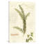 «Aromatique II», impression sur toile tendue-23000783-74617353-74617354