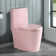1.1/1.6 GPF Dual-Flush Elongated One-Piece Toilet with 17.13 in. Comfort Seat Height, Ceramic Glazed Surface(Soft Close Seat Included), 4 Colours Option