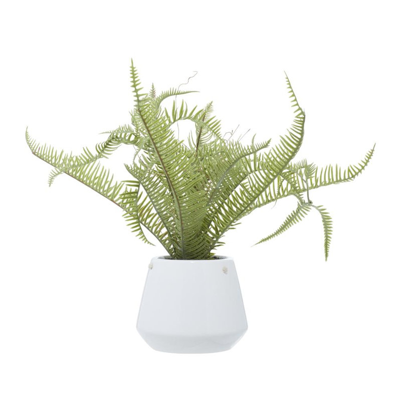 13.8 " H Faux Fern Plant
