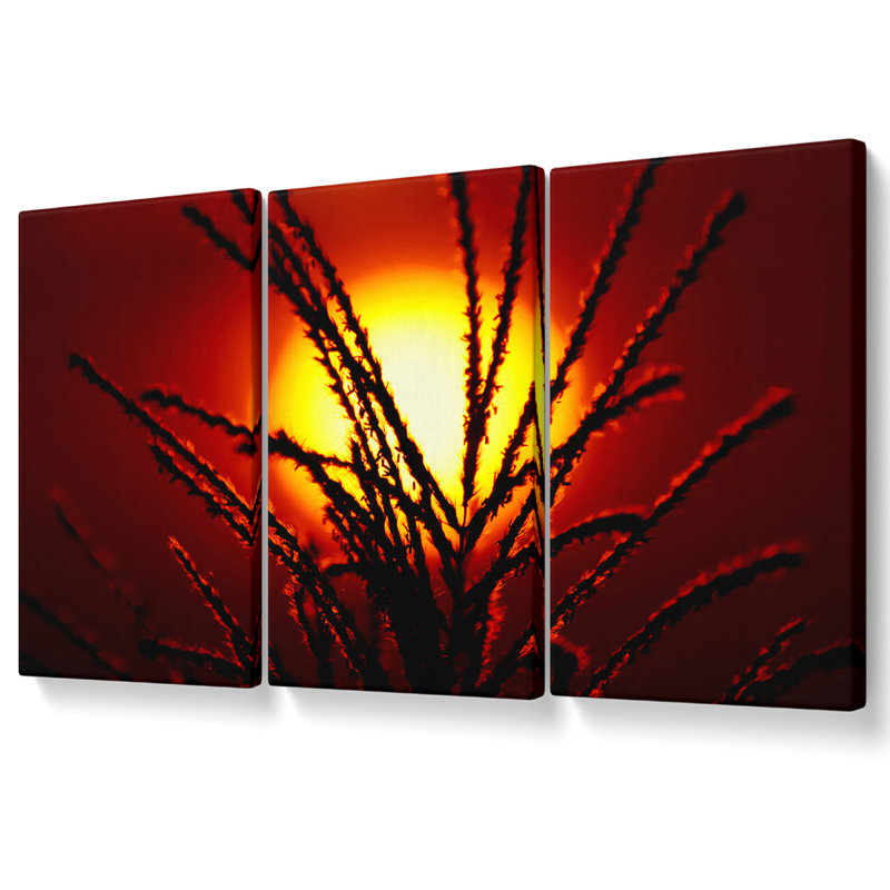 Ebern Designs As the Sun Lights up the Reeds - 3 Piece Wrapped Canvas ...