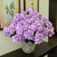 Arrangement ultra réaliste d'hortensias en soie-846695169