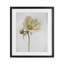 «Simple Beauty Soft Flower», reproduction encadrée sous verre, Lori Deiter-2105503052-2105503054