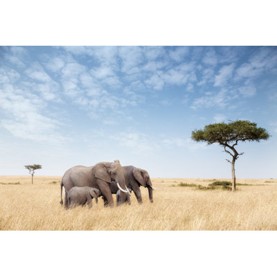 Weyland Elephants In Masai Mara - Wrapped Canvas Print
