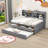 Ephinne 3 Drawers Wooden Platform Bed with Shelves and Twin Size Trundle-1775916804-1775916805